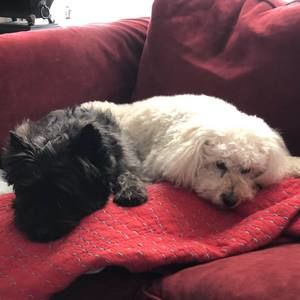 Meet your Posher, Linda